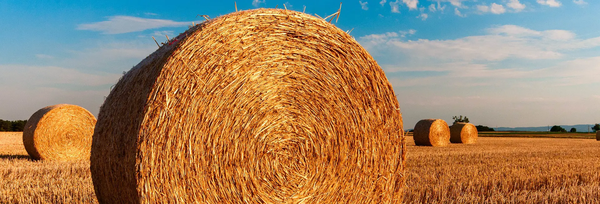 Agricoltu