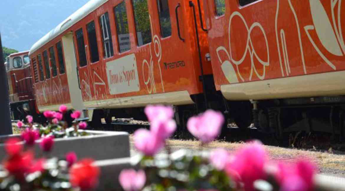 Treno Dei Sapori