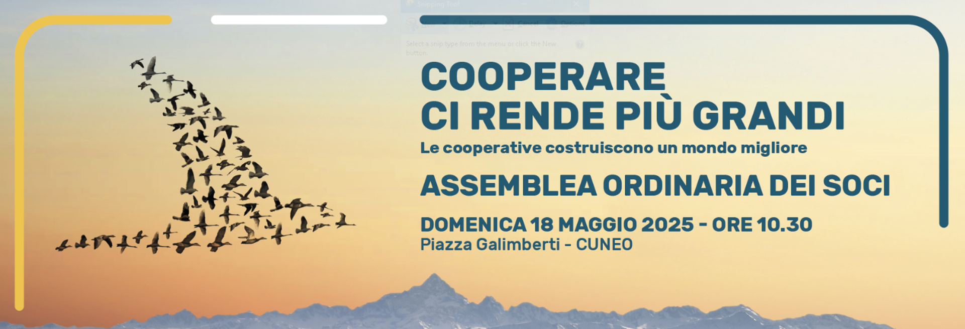 Assemblea 2025